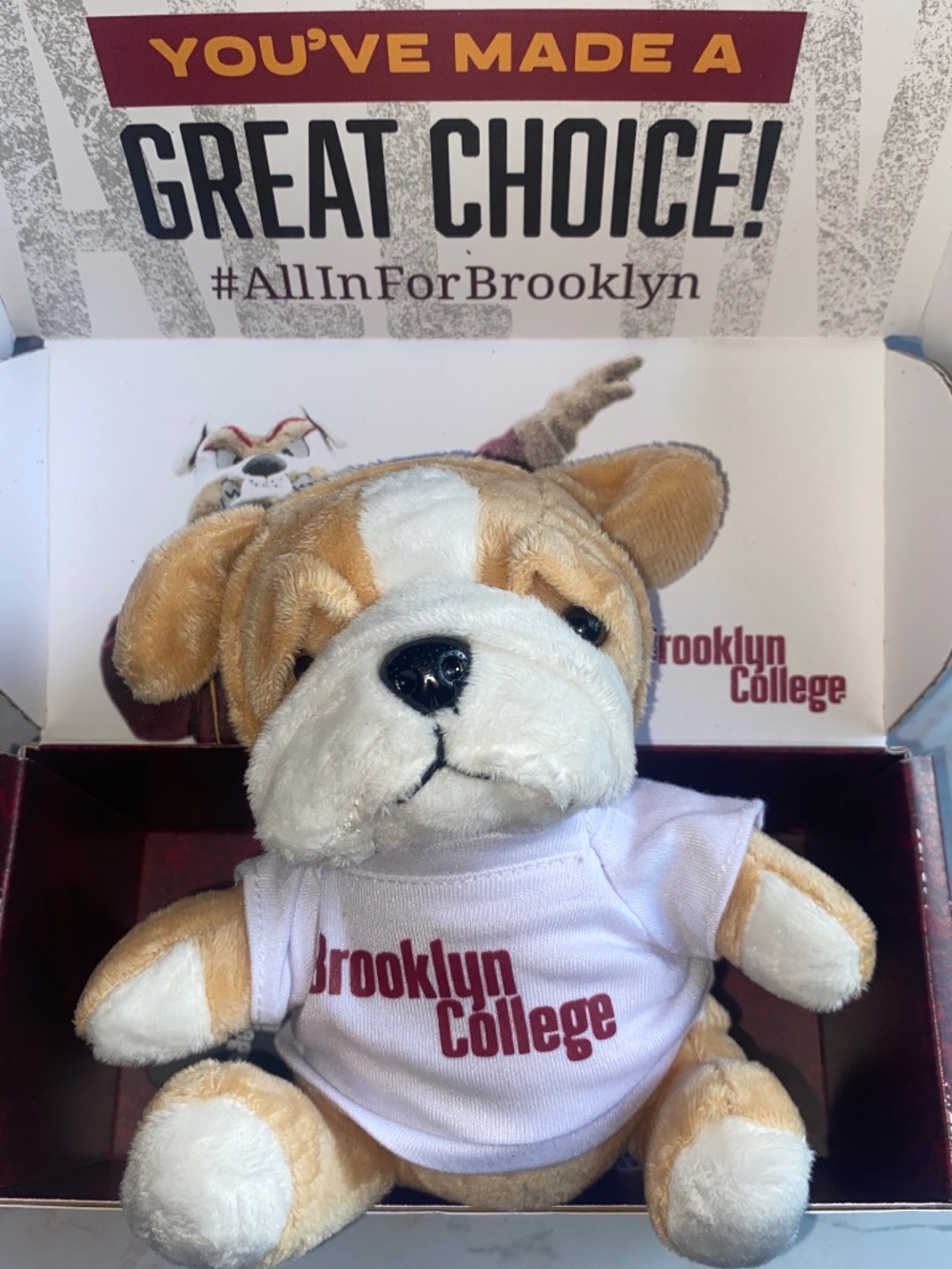 Brooklyn College Bulldog plushie